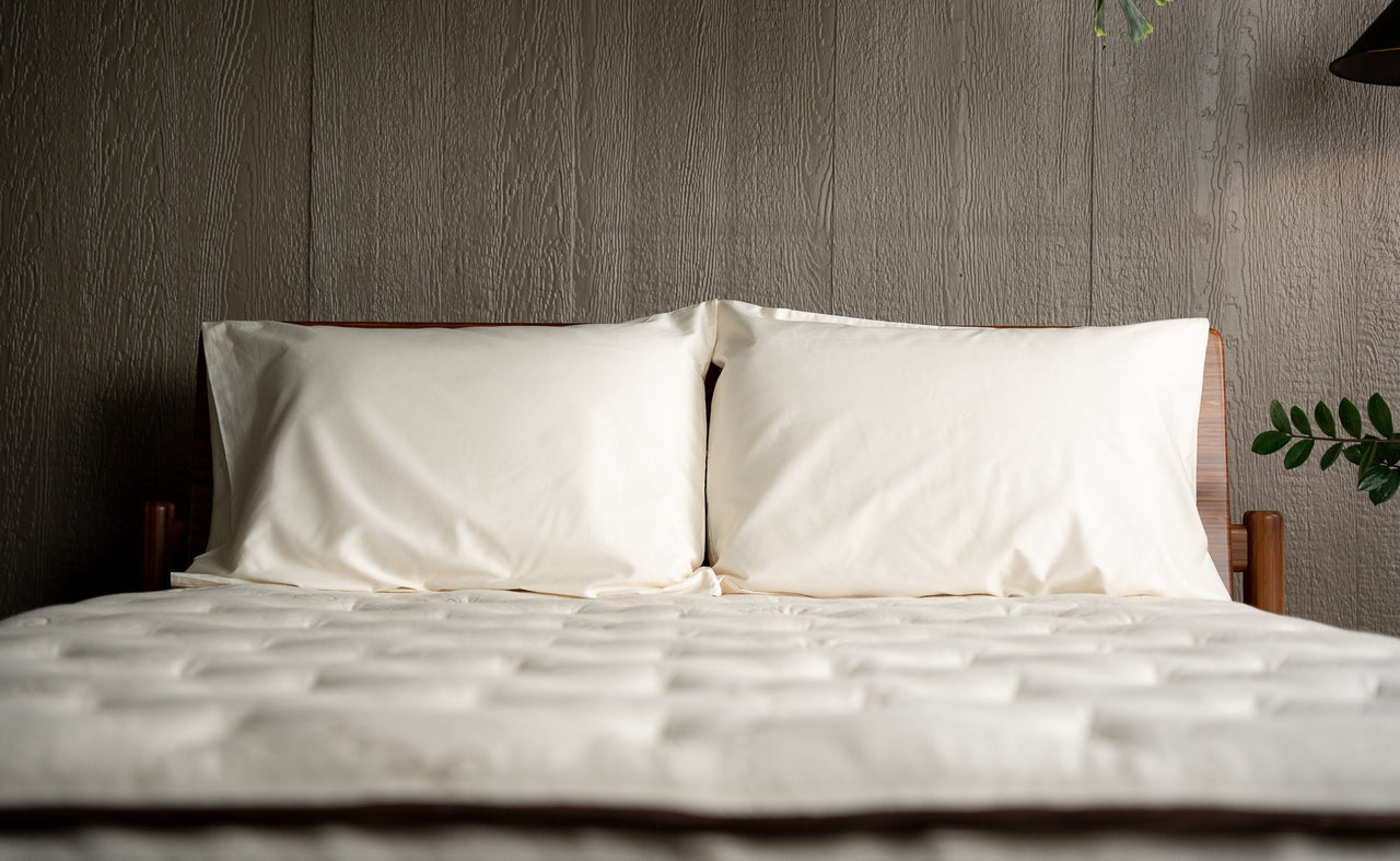 Why Choose Organic and Eco-Friendly Mattresses?